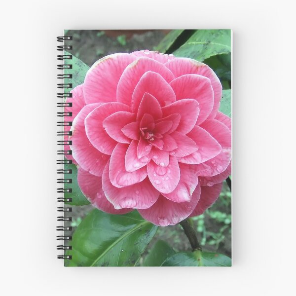 Item preview, Camellia japonica designed and sold by BirgitOehmig.