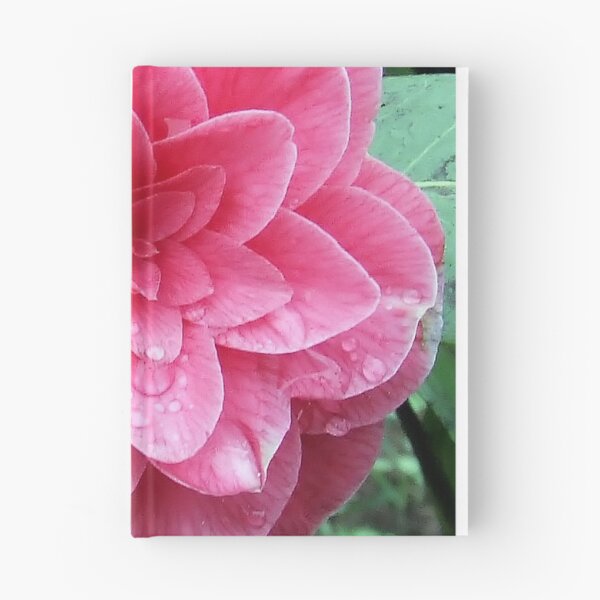 Item preview, Camellia japonica designed and sold by BirgitOehmig.