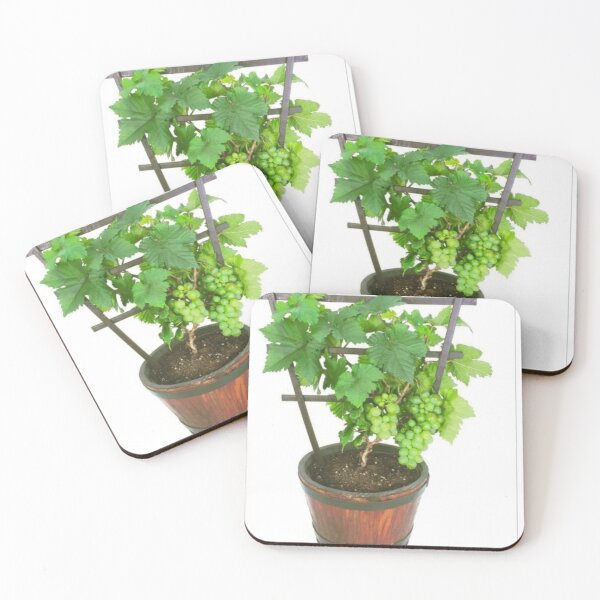 Item preview, Grapes designed and sold by Saiamrita123.