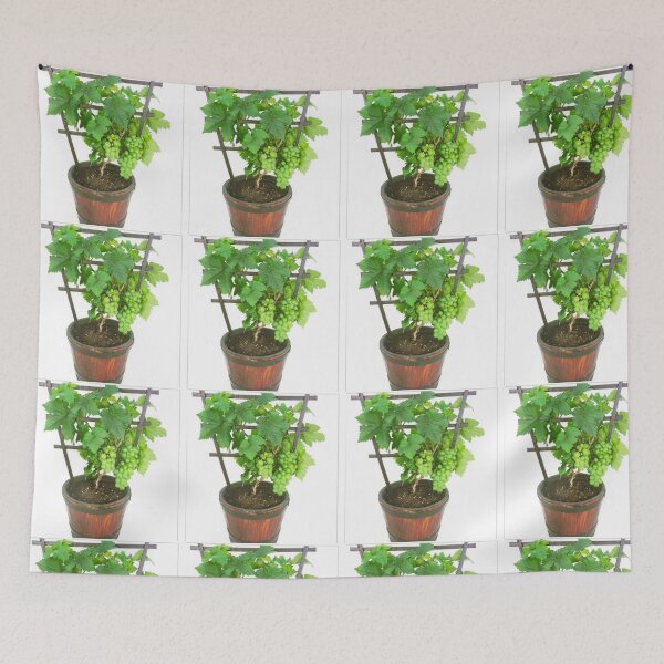 Item preview, Grapes designed and sold by Saiamrita123.