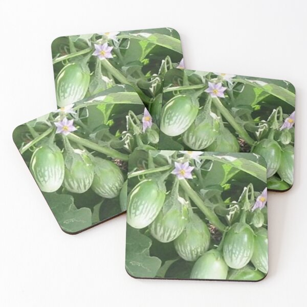 Item preview, Fresh Brinjal designed and sold by Saiamrita123.
