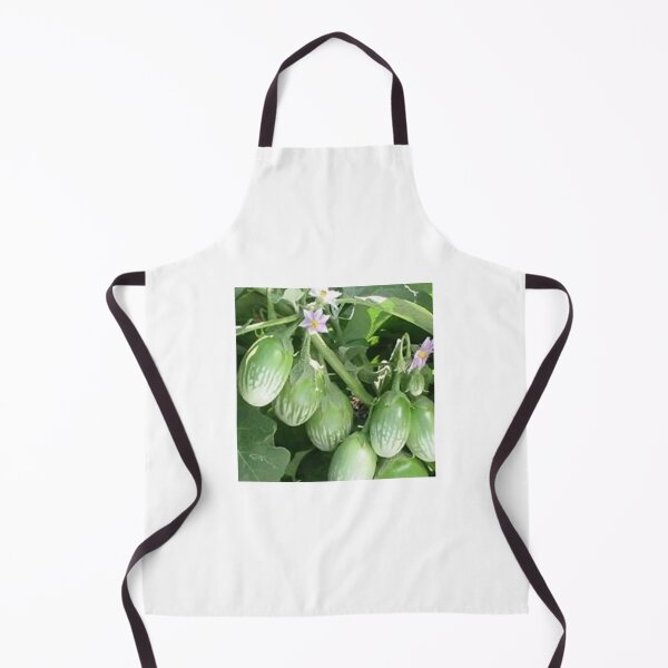 Item preview, Fresh Brinjal designed and sold by Saiamrita123.