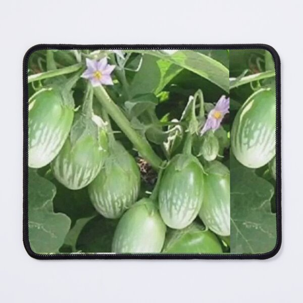 Item preview, Fresh Brinjal designed and sold by Saiamrita123.