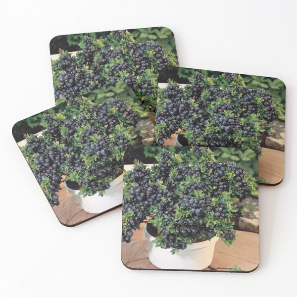 Item preview, Black grapes designed and sold by Saiamrita123.