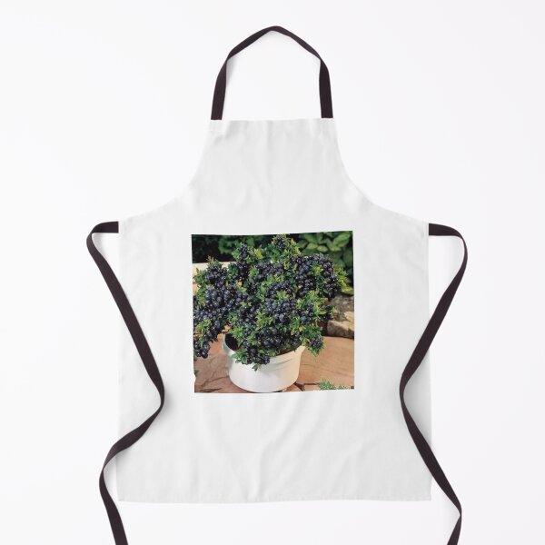 Item preview, Black grapes designed and sold by Saiamrita123.