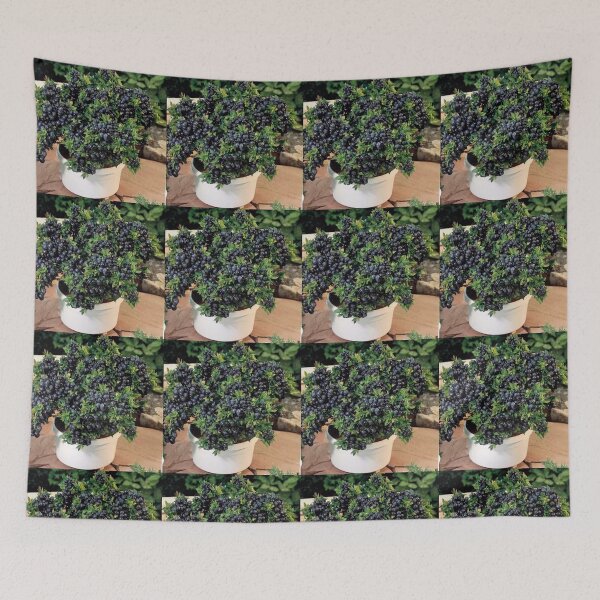 Item preview, Black grapes designed and sold by Saiamrita123.