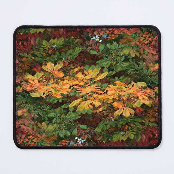 Item preview, Autumn Forever (pattern) designed and sold by Yampimon.