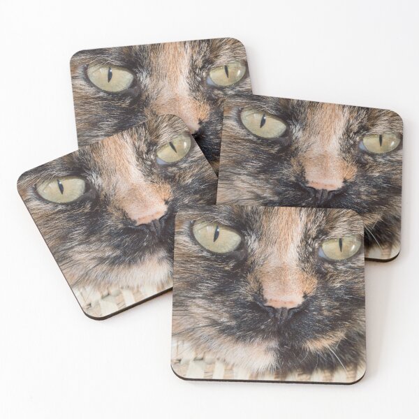 Item preview, Turtle cat face designed and sold by ArboreSciences.