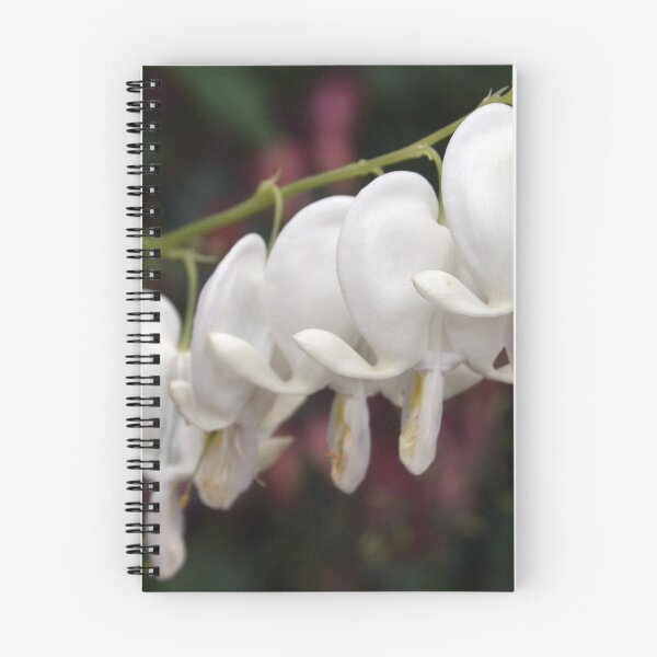 Item preview, Lamprocapnos spectabilis designed and sold by BirgitOehmig.