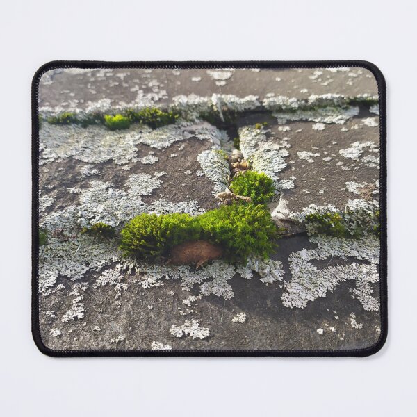 Item preview, stone path, cobblestones, stone, moss, village, nature designed and sold by Noe91.