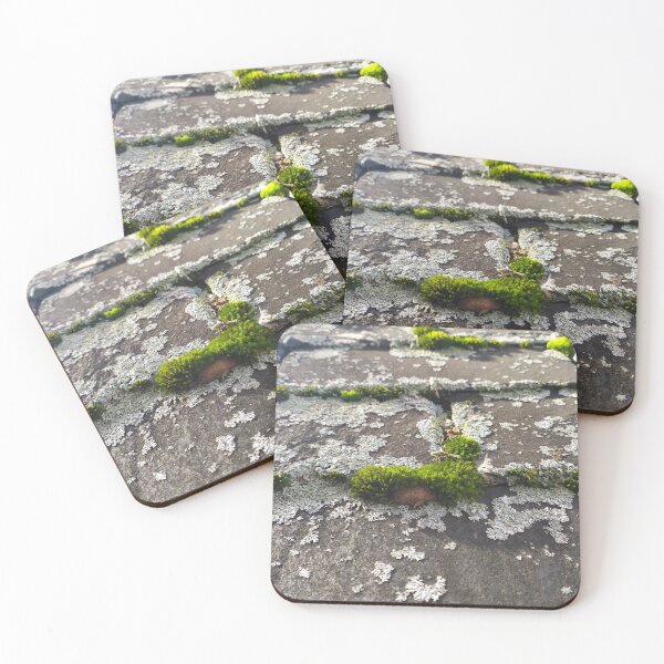 Item preview, stone path, cobblestones, stone, moss, village, nature designed and sold by Noe91.