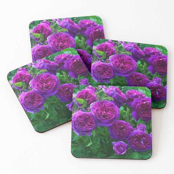 Item preview, Roses designed and sold by Saiamrita123.