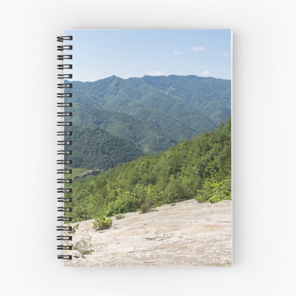 Item preview, Life on Bare Rock - Mountaintops and Woodlands designed and sold by Georgia Mizuleva.