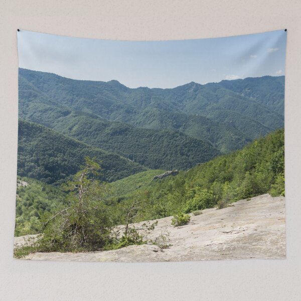 Item preview, Life on Bare Rock - Mountaintops and Woodlands designed and sold by Georgia Mizuleva.