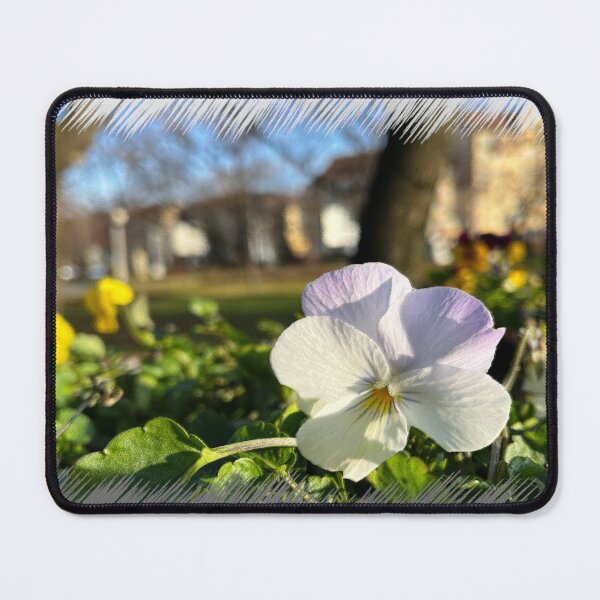 Item preview, Silver white pansy designed and sold by feiermar.