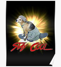 Doggo: Stay Cool Poster