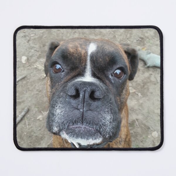 Item preview, mr boys sweet face designed and sold by 1billyboy.