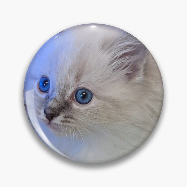 Item preview, Lynx ragdoll kitten designed and sold by Fluffycat2020.