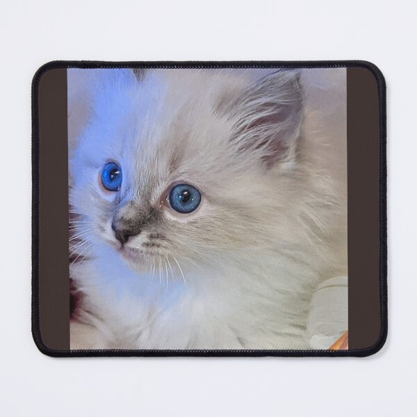 Item preview, Lynx ragdoll kitten designed and sold by Fluffycat2020.