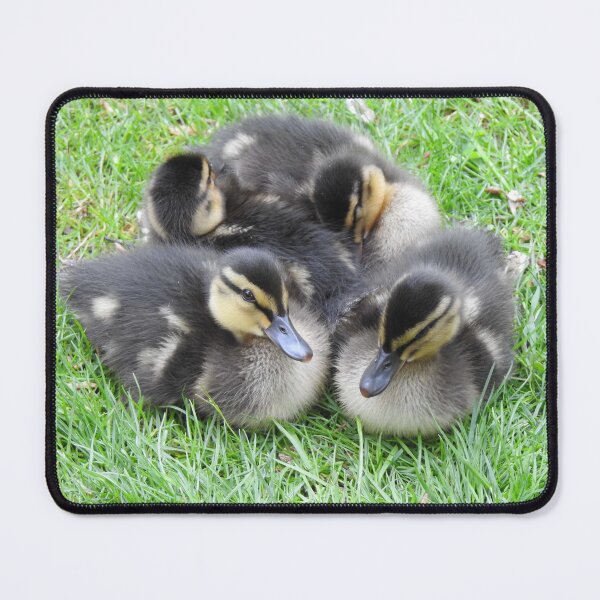Item preview, 4 Ducklings 200521 designed and sold by CreativeEm.