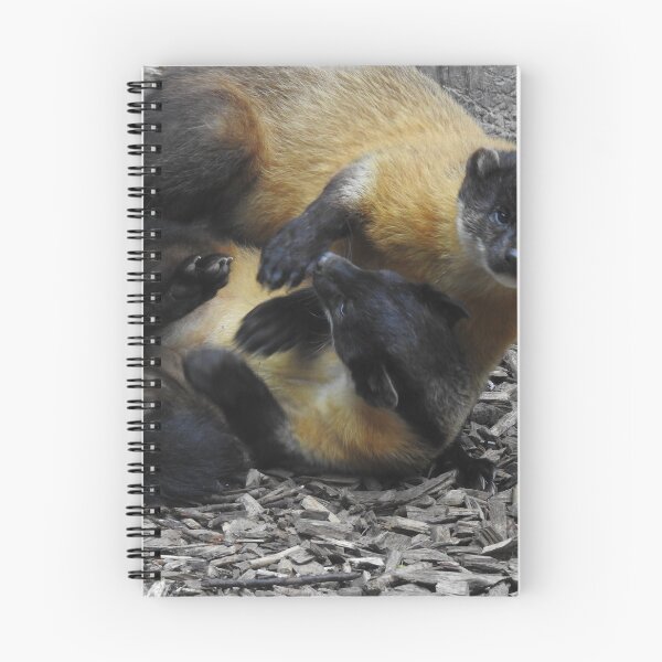 Item preview, Yellow Throated Martens At Play designed and sold by CreativeEm.
