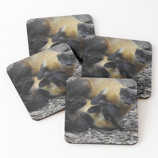 Item preview, Yellow Throated Martens At Play designed and sold by CreativeEm.
