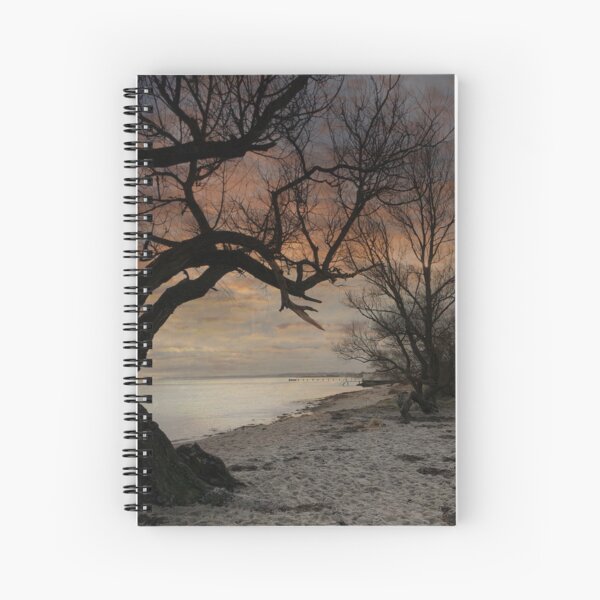 Tree silhouette in the dawn Spiral Notebook