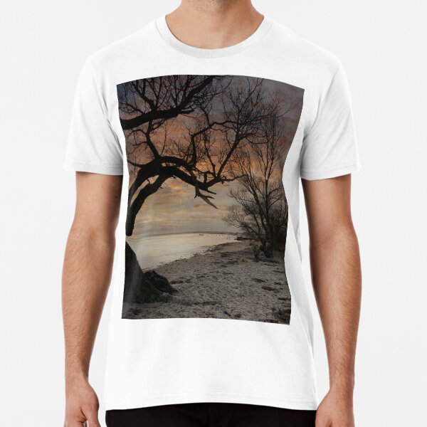 Tree silhouette in the dawn Premium T-Shirt