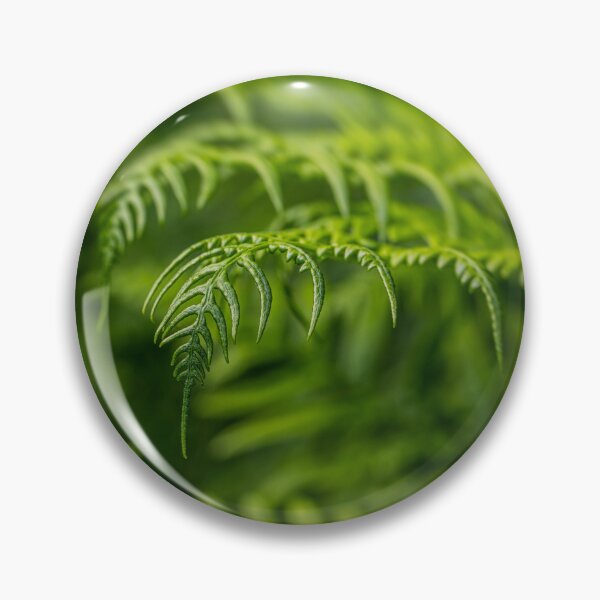 Item preview, Ferns designed and sold by Veikko  Suikkanen.