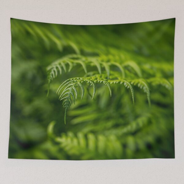Item preview, Ferns designed and sold by Veikko  Suikkanen.