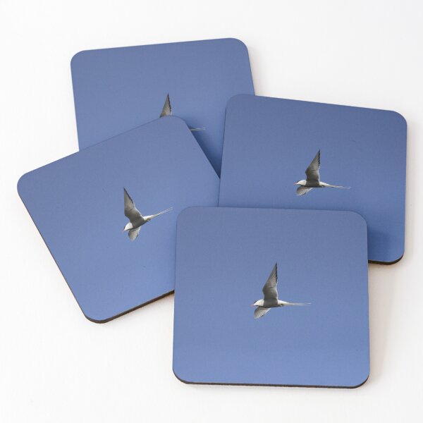 Item preview, Arctic tern (Sterna paradisaea)  designed and sold by Vidarleikur.