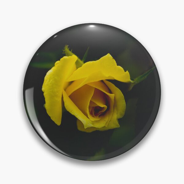 Item preview, Yellow Rose Bud designed and sold by kasthu.