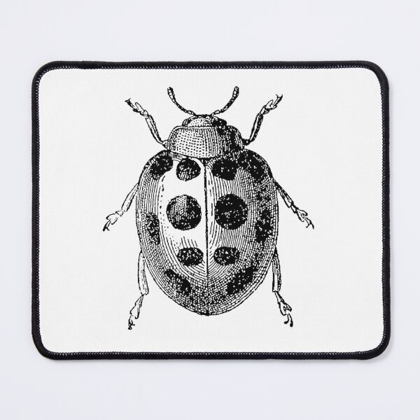 Item preview, Vintage Beetle // Ladybug designed and sold by Adidit.