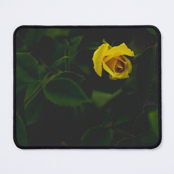 Item preview, Yellow Rose Bud designed and sold by kasthu.