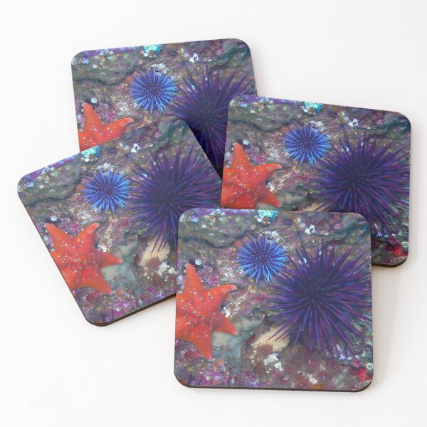 Item preview, Sea urchin photo with high resolution quality designed and sold by Allyouneed-2.