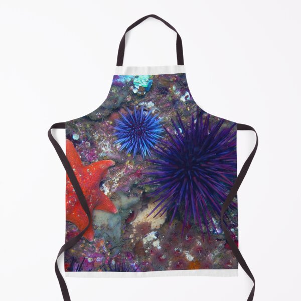 Item preview, Sea urchin photo with high resolution quality designed and sold by Allyouneed-2.