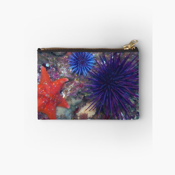 Item preview, Sea urchin photo with high resolution quality designed and sold by Allyouneed-2.