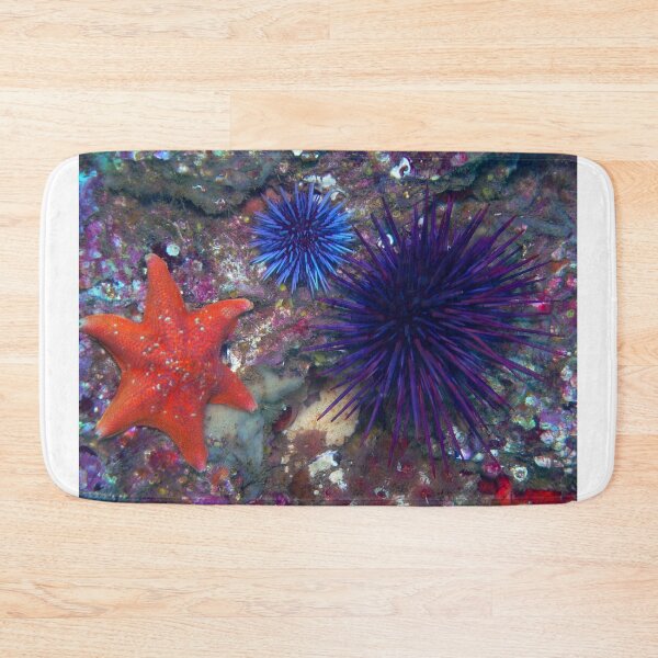 Item preview, Sea urchin photo with high resolution quality designed and sold by Allyouneed-2.