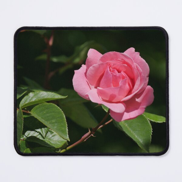 Item preview, The perfect pink rose designed and sold by SlappinTees.