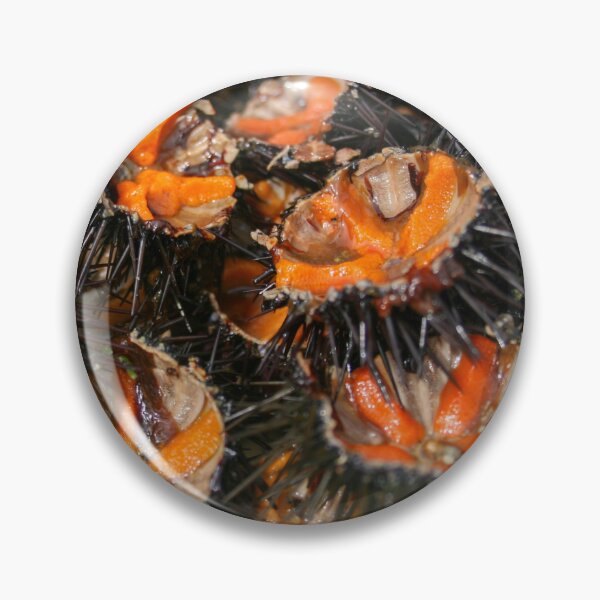 Item preview, Sea urchin photo with high resolution quality designed and sold by Allyouneed-2.