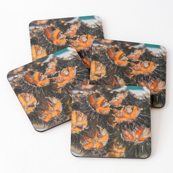Item preview, Sea urchin photo with high resolution quality designed and sold by Allyouneed-2.