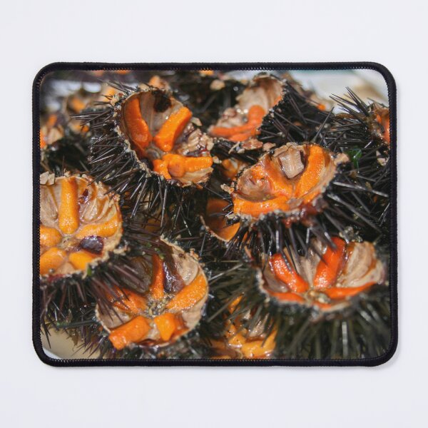 Item preview, Sea urchin photo with high resolution quality designed and sold by Allyouneed-2.