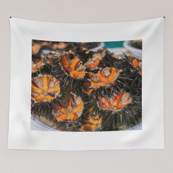 Item preview, Sea urchin photo with high resolution quality designed and sold by Allyouneed-2.