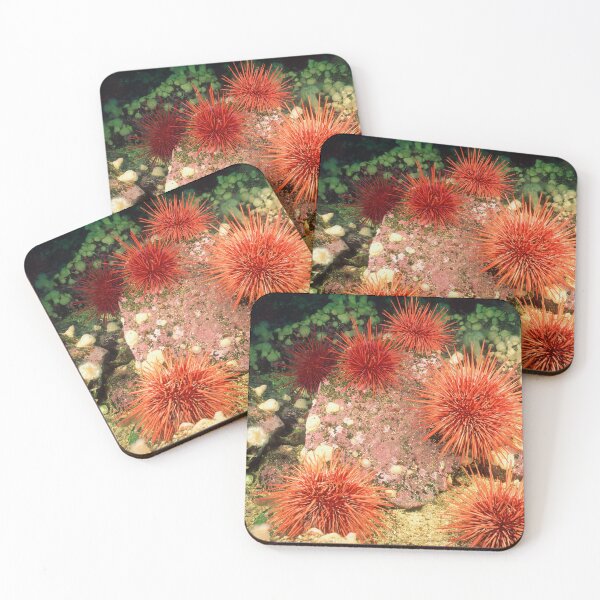 Item preview, Sea urchin photo with high resolution quality designed and sold by Allyouneed-2.