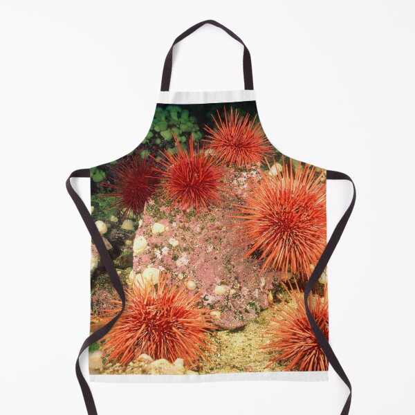 Item preview, Sea urchin photo with high resolution quality designed and sold by Allyouneed-2.