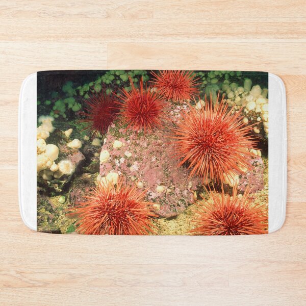 Item preview, Sea urchin photo with high resolution quality designed and sold by Allyouneed-2.