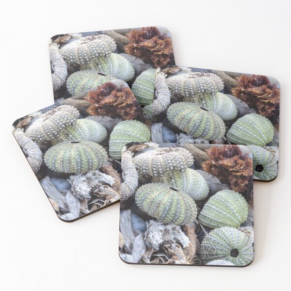 Item preview, Sea urchin photo with high resolution quality designed and sold by Allyouneed-2.
