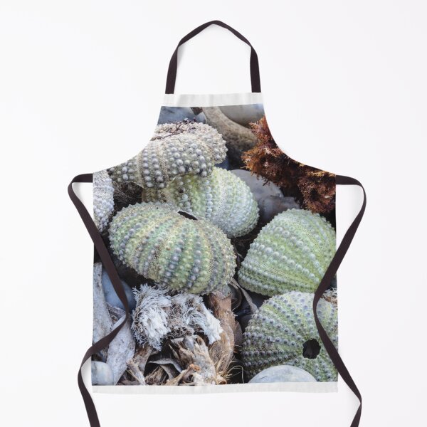 Item preview, Sea urchin photo with high resolution quality designed and sold by Allyouneed-2.