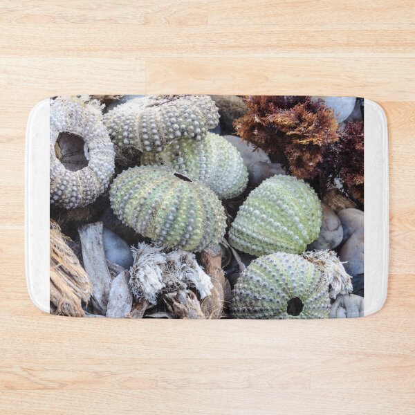 Item preview, Sea urchin photo with high resolution quality designed and sold by Allyouneed-2.