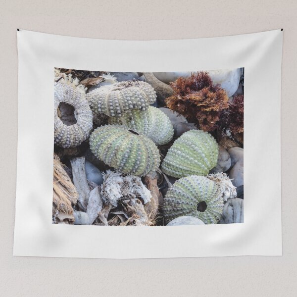 Item preview, Sea urchin photo with high resolution quality designed and sold by Allyouneed-2.